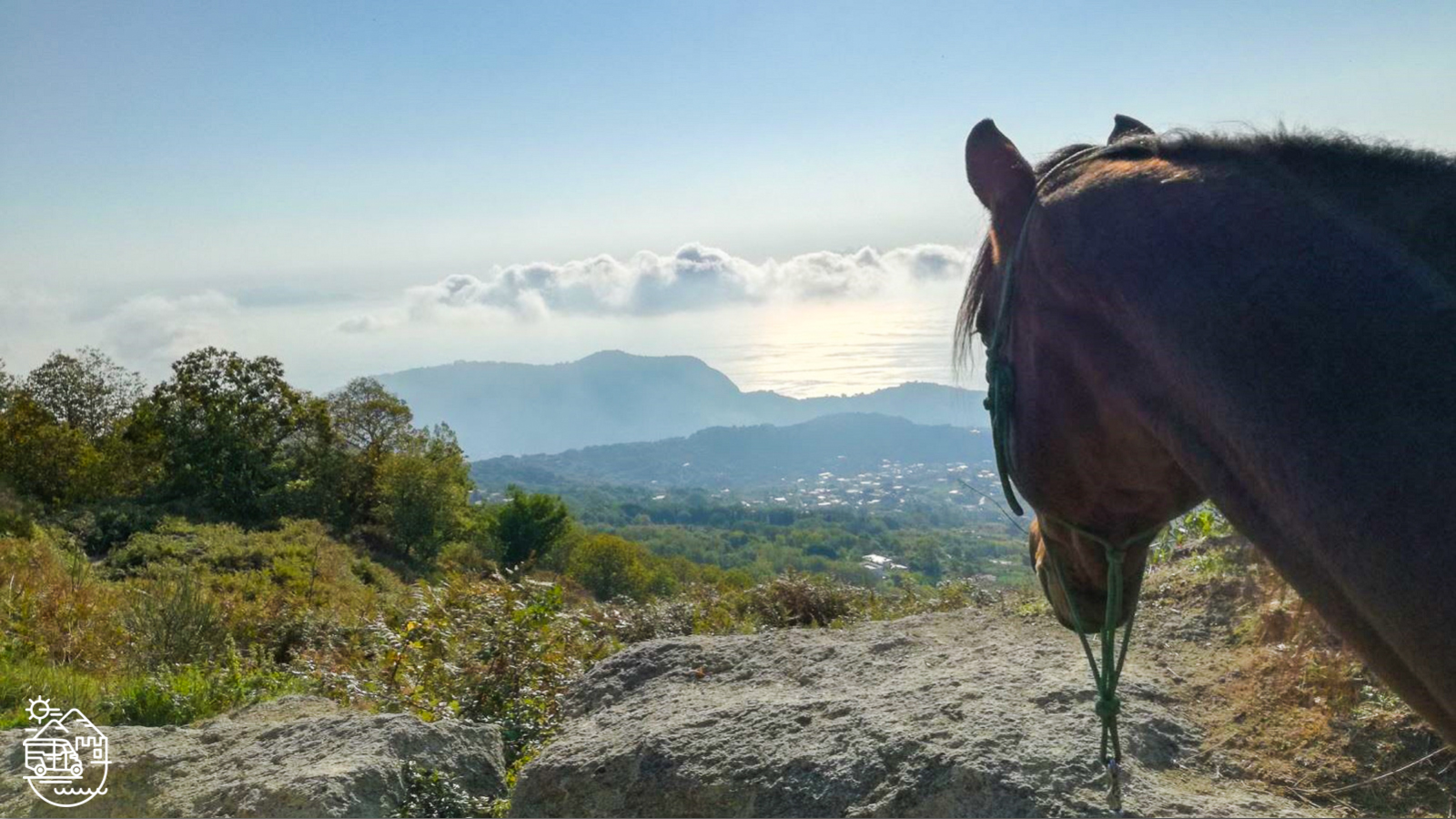 Horse riding in Ischia, horseback riding in Ischia, Ischia horse trek, Ischia horse tours, Horseback excursion in Ischia, Ischia stable, Ischia horsetrek, Ischia horse ride tour, Tour of Ischia, Ischia trekking, Ischia horse excursion